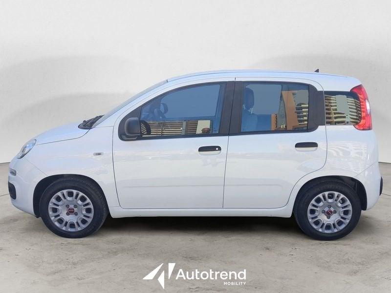 FIAT Panda 1.0 FireFly Hybrid 70 CV S&S 5 Posti