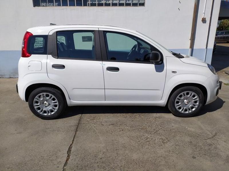 FIAT Pandina 65 Pandina hybrid Icon Promo CBC 5