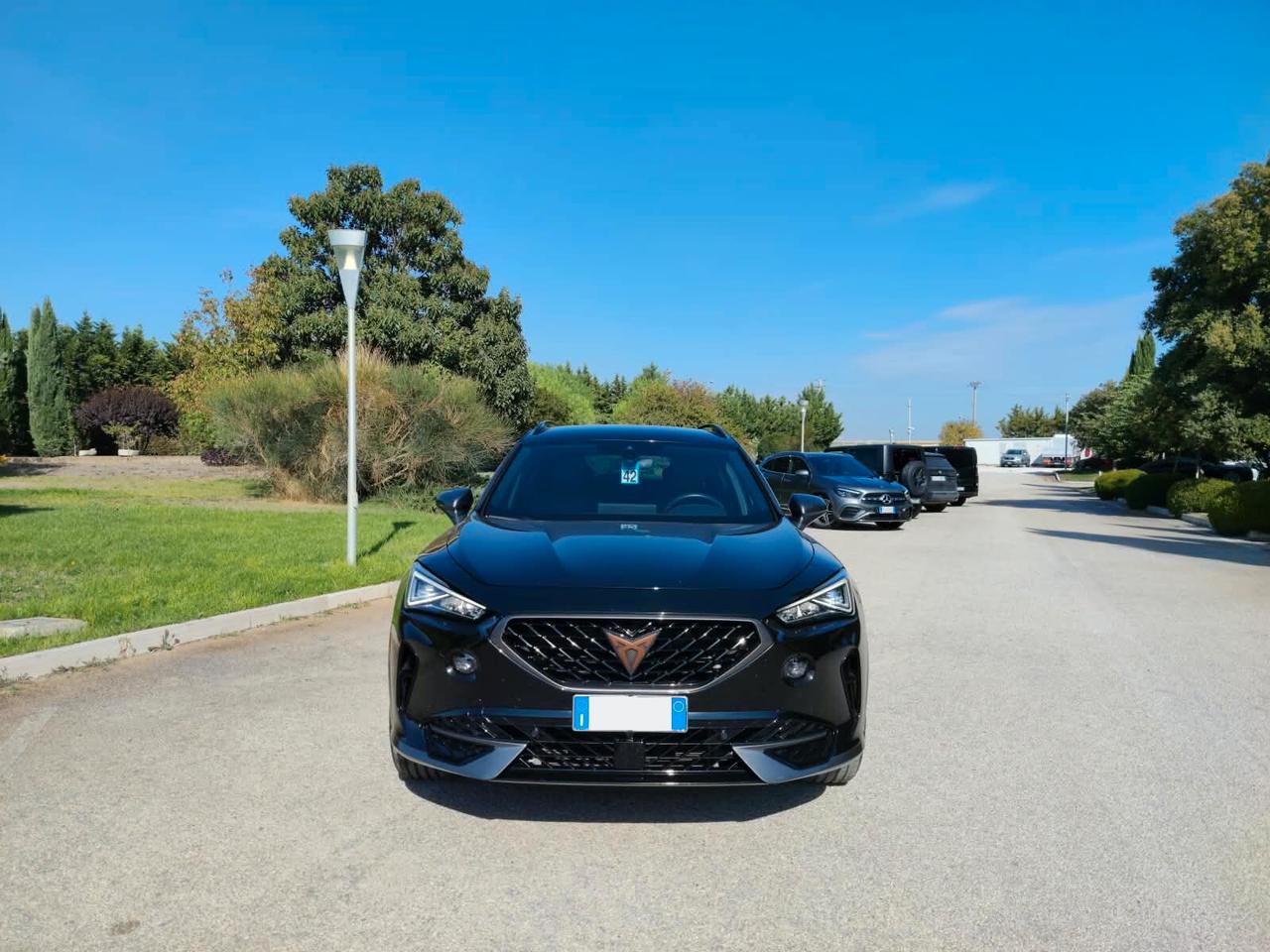 Cupra Formentor 2.0 TDI 4Drive DSG