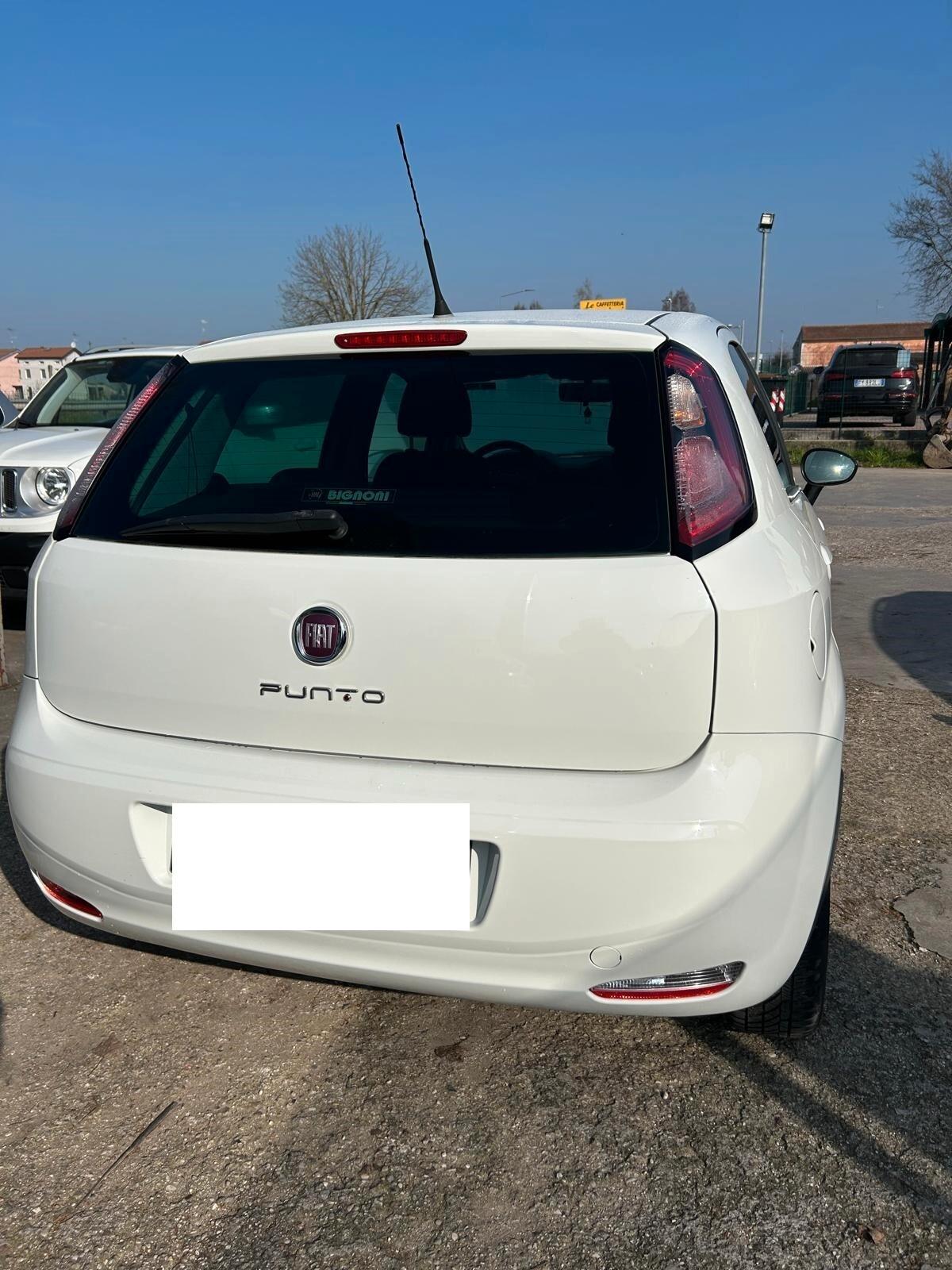 Fiat Punto 1.2 8V 5 porte Lounge ok neo patentati