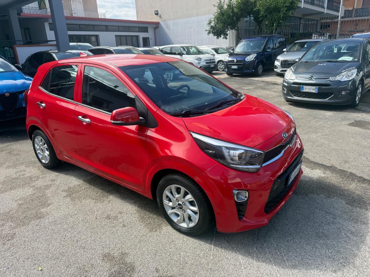 Kia Picanto 1.0 12V 5 porte Cool E6