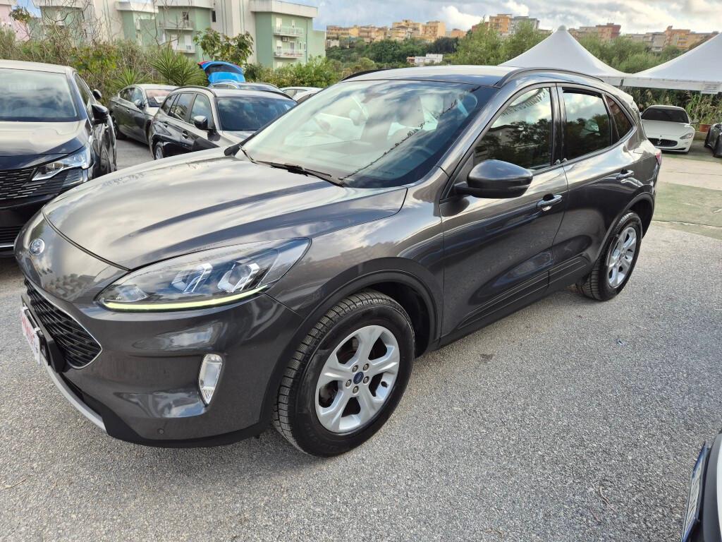 Ford Kuga 1.5 EcoBlue 120CV 2022