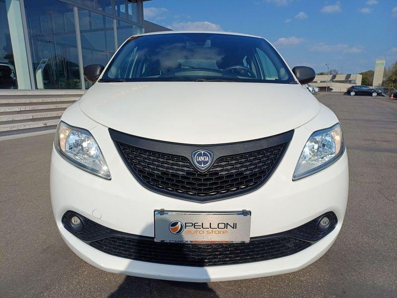 Lancia Ypsilon 1.2 Elefantino Blu 69cv KM CERTIFICATI-IVA ESPOSTA