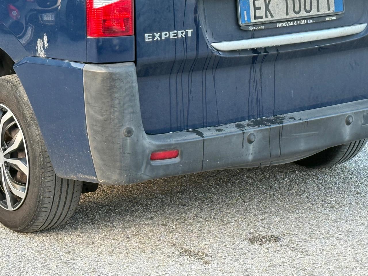 Peugeot Expert 2.0 HDi 120CV PL-TN 12Q Furgone Vetrato