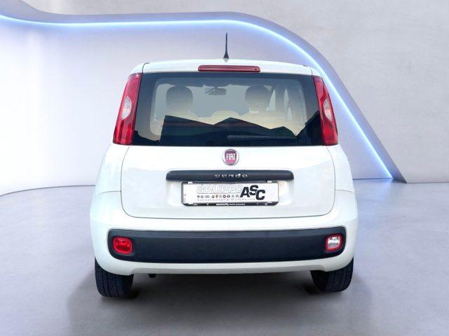 FIAT Panda 1.2 BENZ 69 CV Lounge ADATTA A NEOPATENTATI