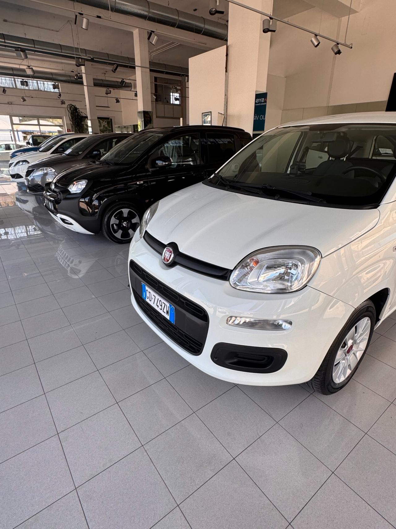 FIAT PANDA 1.2 BZ - EASY