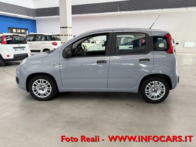 FIAT Panda Hybrid 1.0 FireFly 70 cv - PROMO