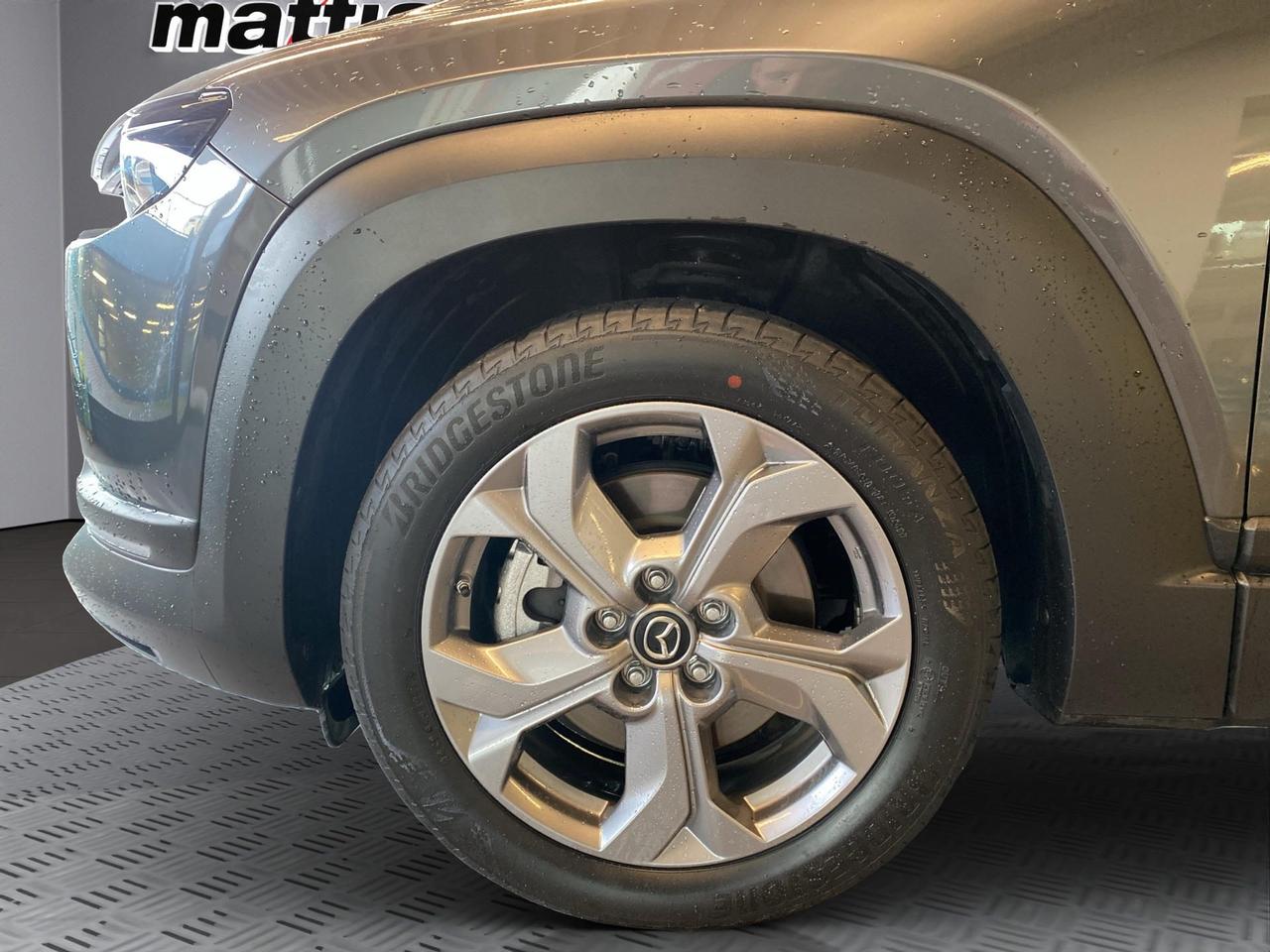 Mazda MX-30 35,5kWh Executive OBC 7,4kW