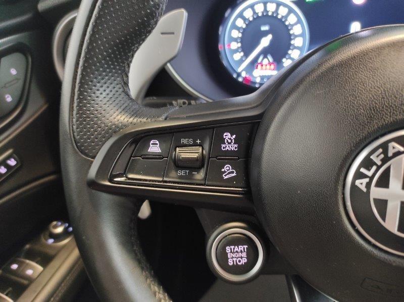 ALFA ROMEO Stelvio - Stelvio 2.0 Turbo 280 CV AT8 Q4 Veloce