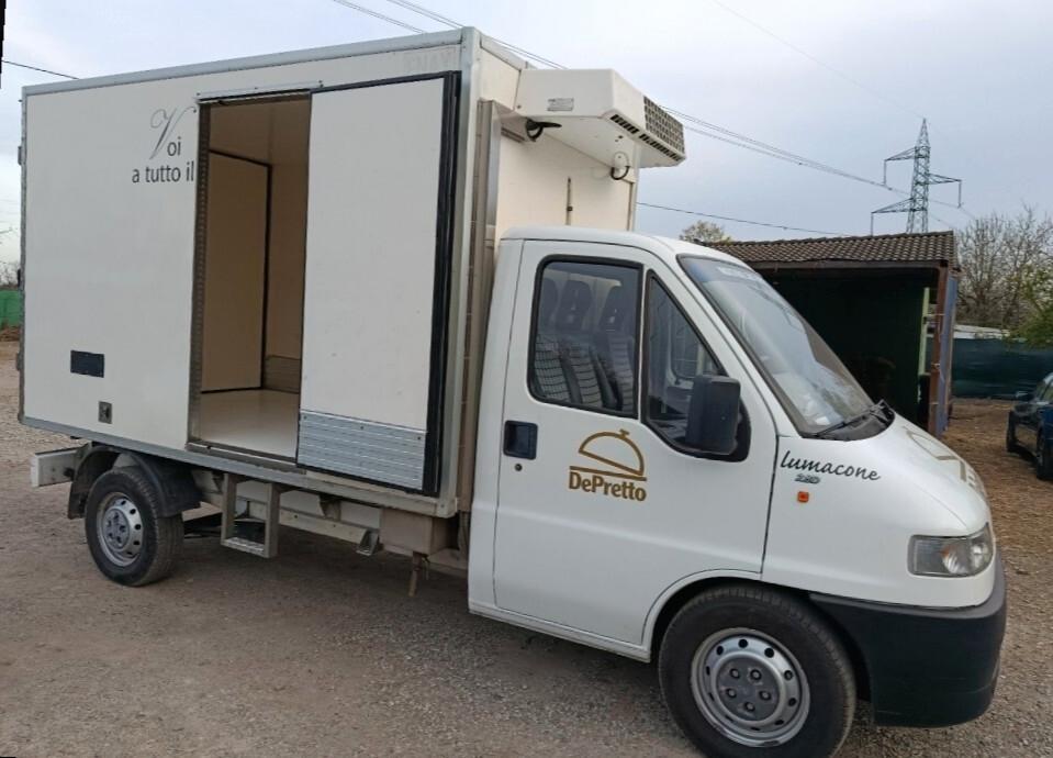 Fiat ducato cella frigo senza atp