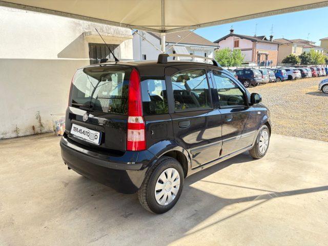 FIAT Panda 1.2 Dynamic OK NEOPATENTATI PRONTA CONSEGNA