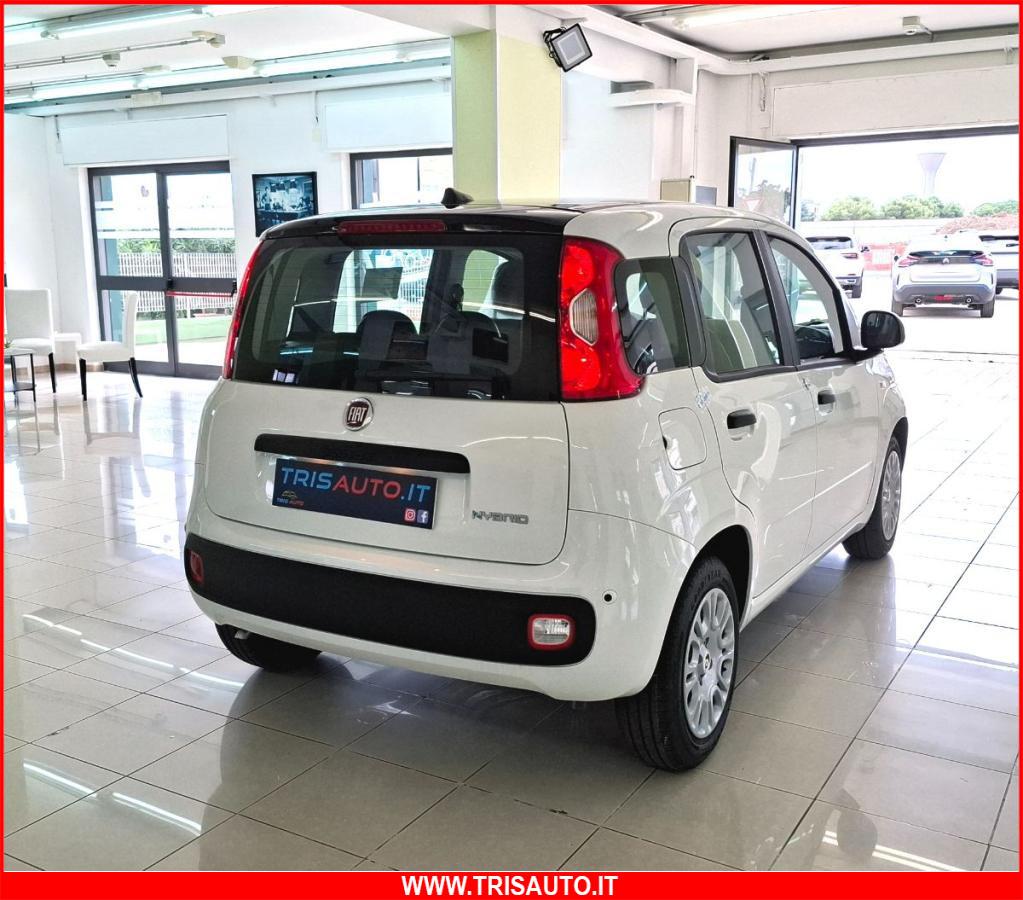 FIAT Panda 1.0 FireFly S&S Hybrid 5p.ti NEOPATENTATI