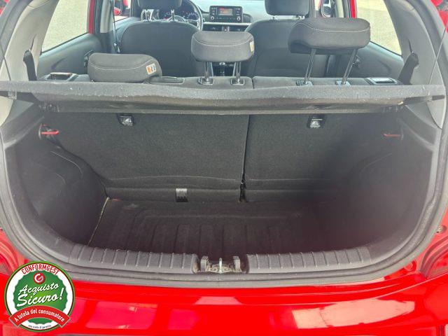 KIA Picanto 1.0 12V 5 porte Cool - PER NEOPATENTATO -