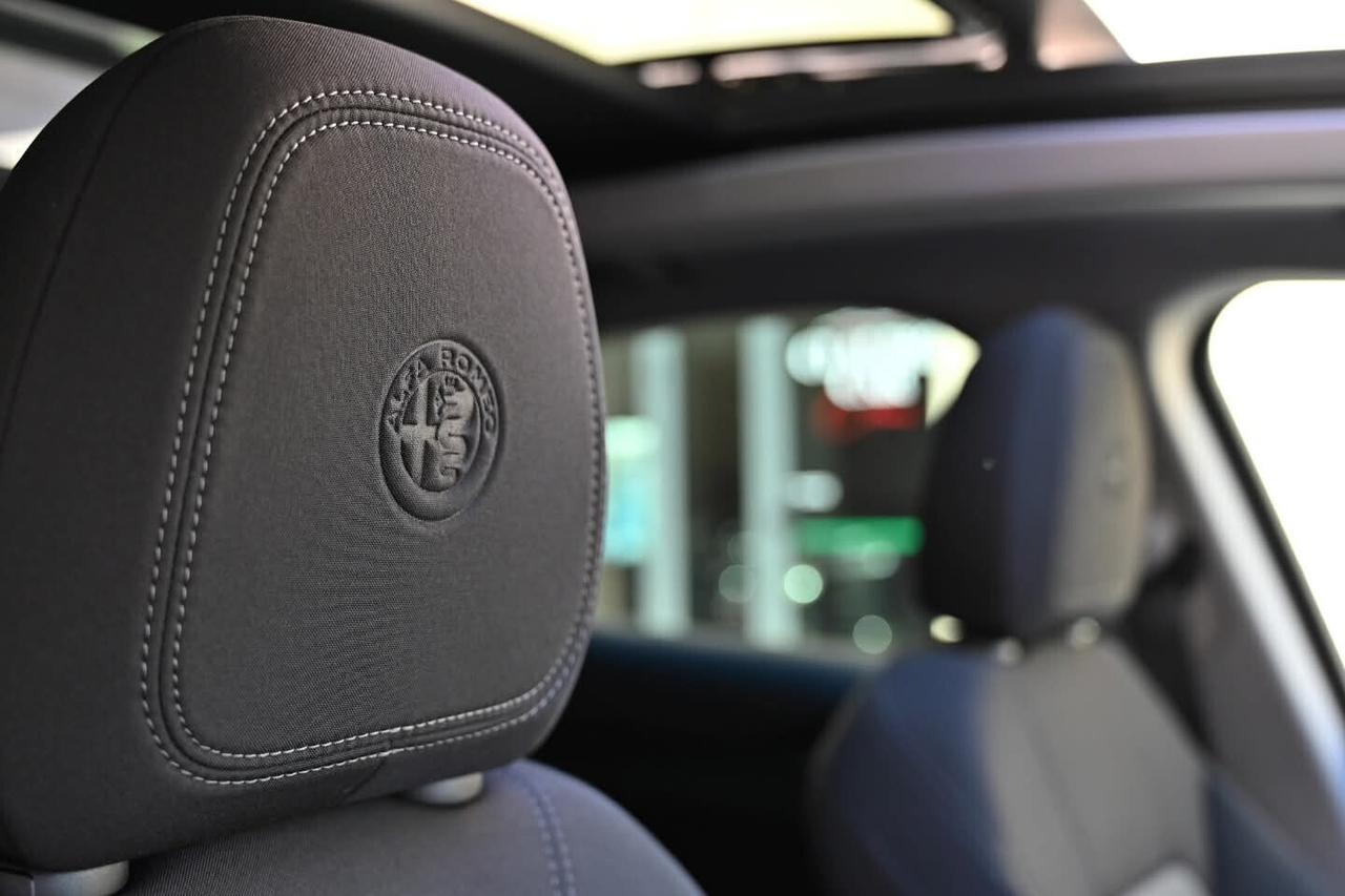 Alfa Romeo Stelvio 2.2 Turbodiesel 190 CV AT8 Q4 Tetto