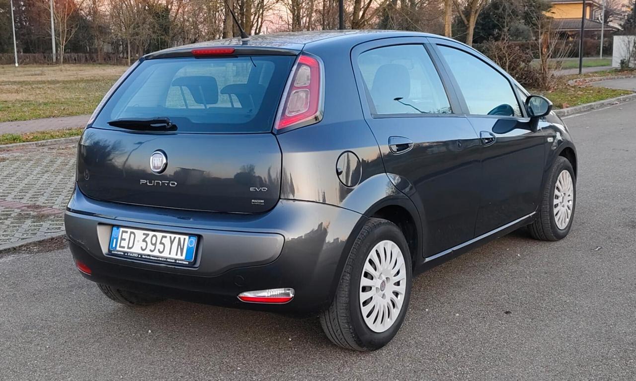 Fiat Punto Evo 1.3 Mjt 95 CV DPF 5 porte S&S Emotion