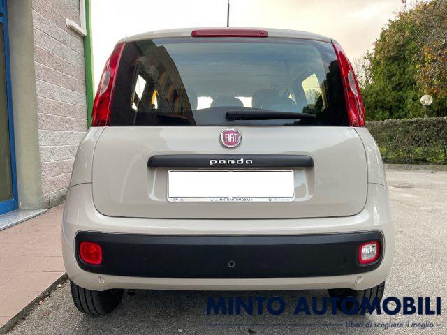 FIAT Panda 1.2 69CV LOUNGE UNIPROPRIETARIO ADATTA NEOPATENT.