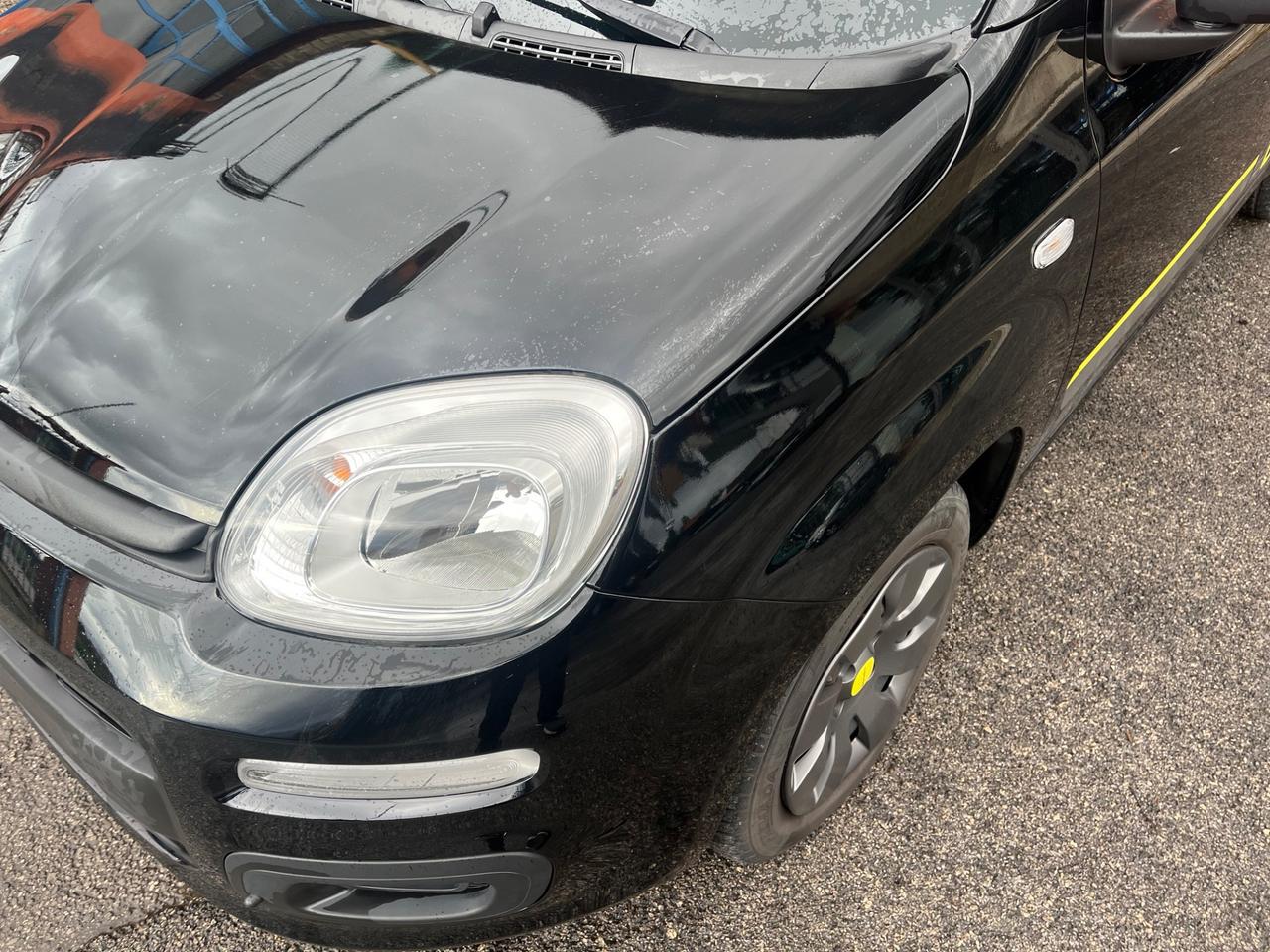 Fiat Panda 1.2 Young -solo km 21000-