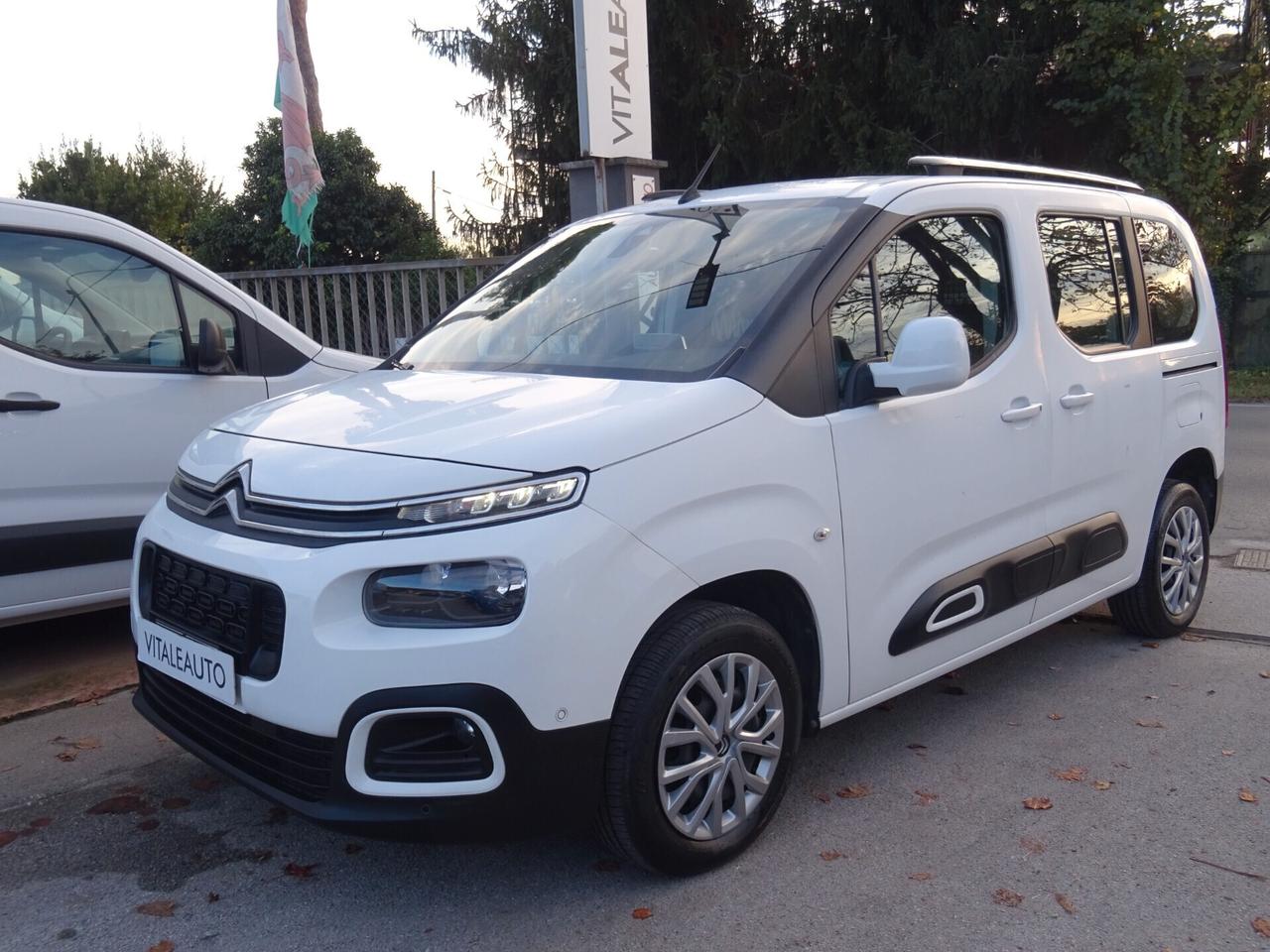 Citroen Berlingo 1.5 D 130cv S&S EAT8 (N1)