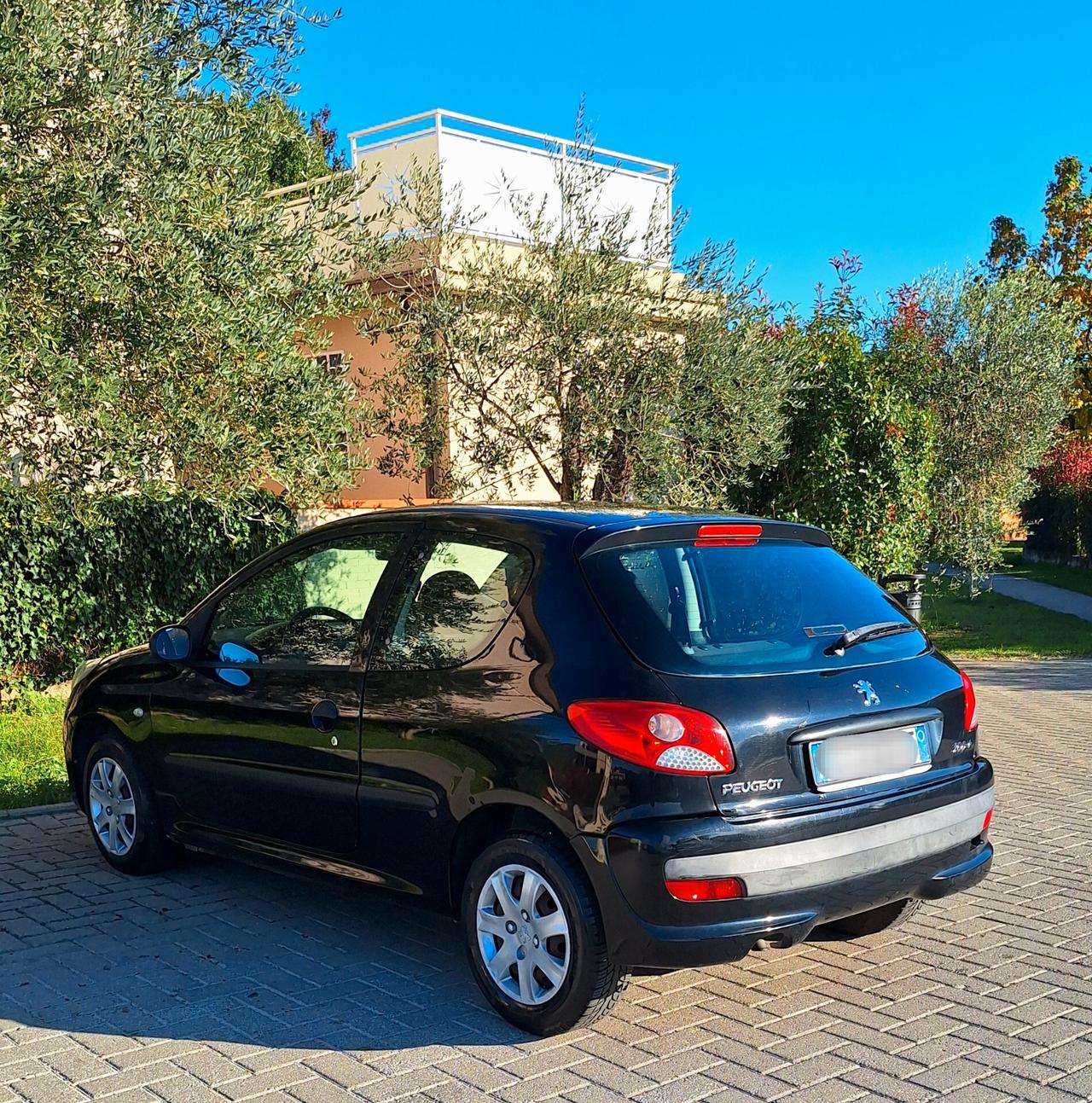 Peugeot 206 Plus - Tagliandata - Unipropr