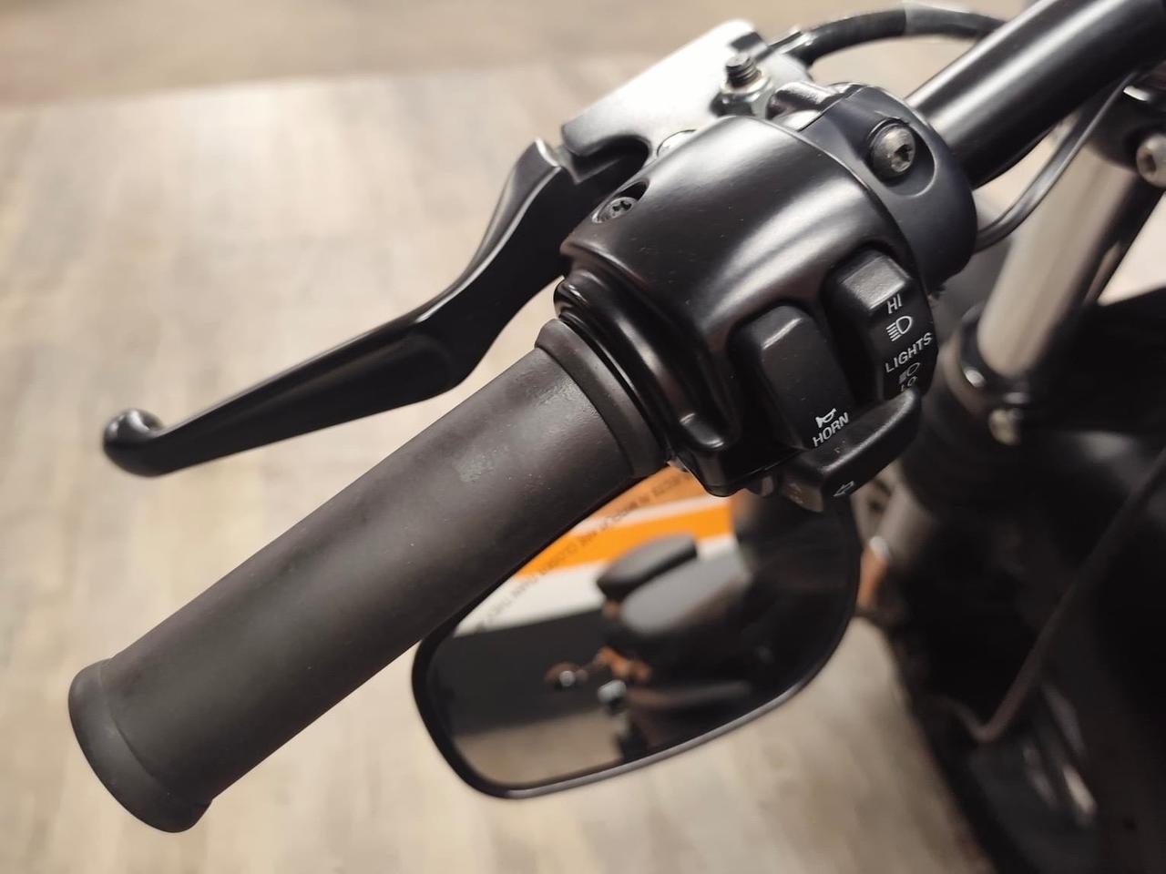 MERAVIGLIOSA HARLEY DAVIDSON SPORTSTER XL 883 IRON SPECIAL EDITION