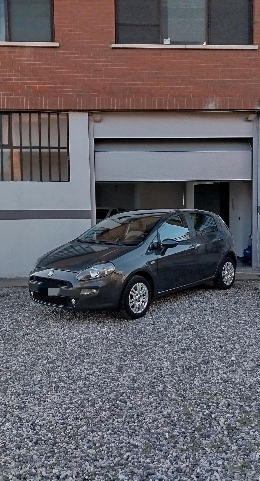 Fiat Punto Evo Punto Evo 1.2 5 porte