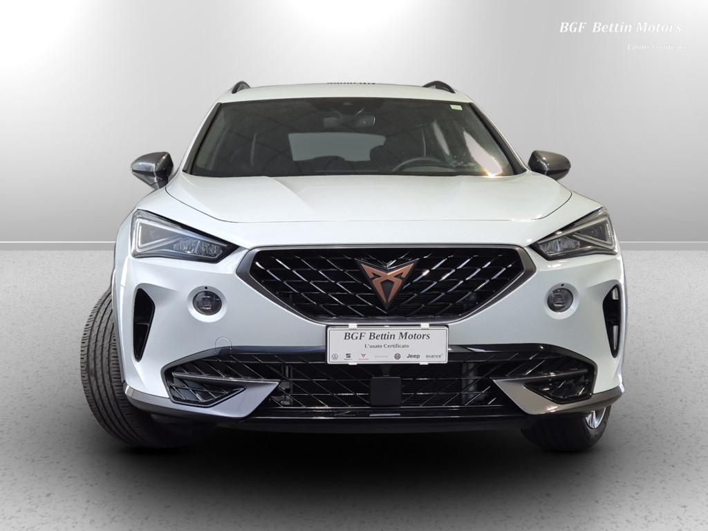 Cupra Formentor 2.0 tdi 4drive dsg