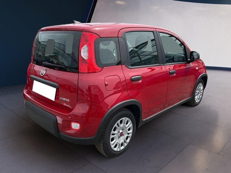 FIAT Panda My24 1.0 70cv Hybrid Panda