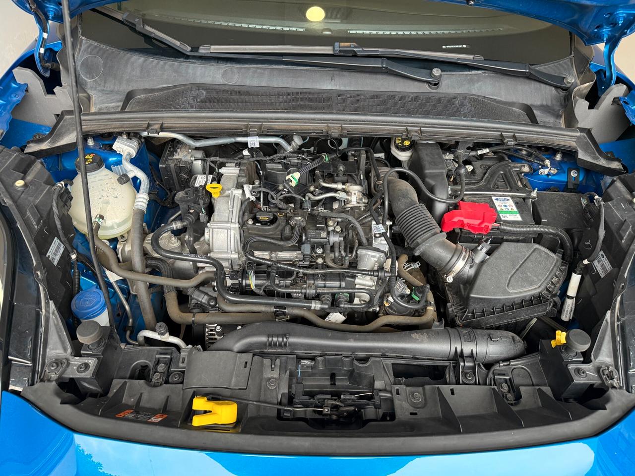 Ford Puma 1.0 EcoBoost Hybrid 125 CV S&S ST-Line