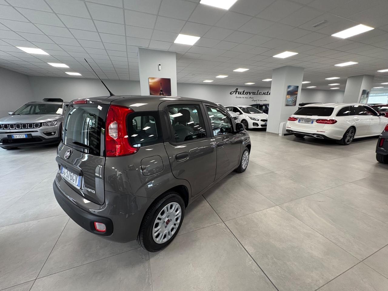 Fiat Panda 1.0 Hybrid 69cv 2021 km 4000 neopatentati