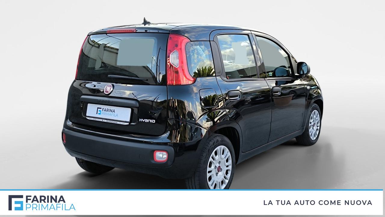 FIAT Panda III 2021 - Panda 1.0 firefly hybrid s&s 70cv