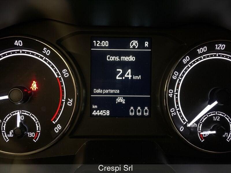 Skoda Kamiq 1.0 TSI 110 CV DSG Ambition