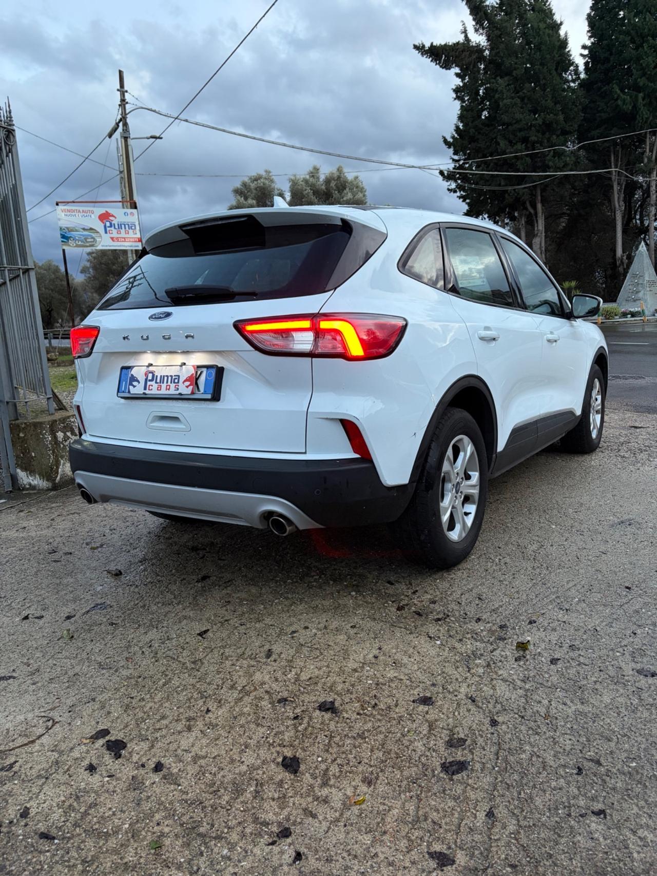 Ford Kuga 1.5 EcoBlue 120 CV aut. 2WD ST-Line