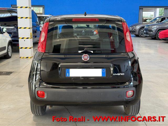 FIAT Panda Hybrid 1.0 FireFly 70 cv Neopatentati - PROMO