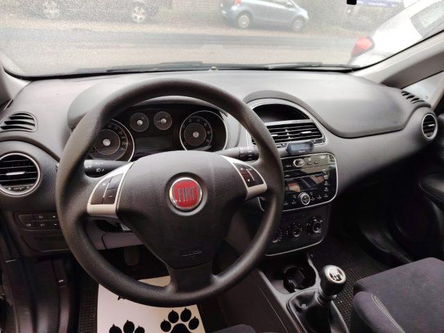 FIAT Punto 1.2 8V 5 porte Lounge NEOPATENTATI/PREZZO REALE