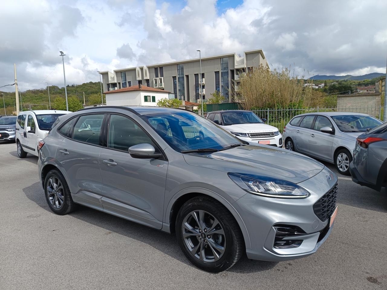 Ford Kuga 2.0 EcoBlue 120 CV aut. 2WD ST-Line