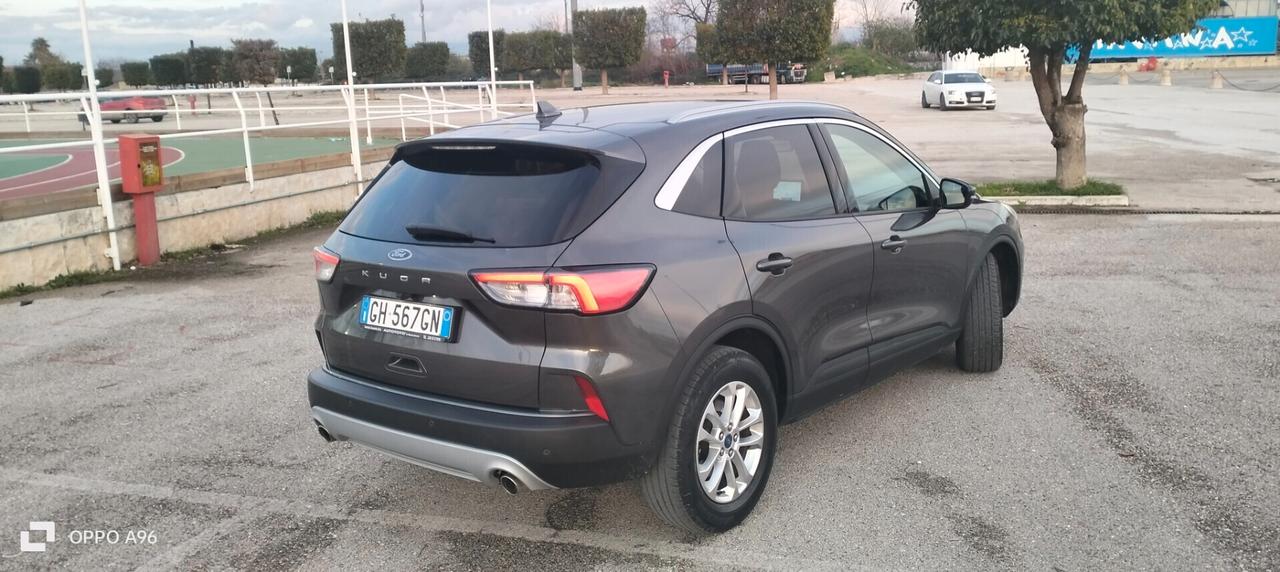 Ford Kuga 1.5 EcoBlue 120 CV aut. 2WD Connect