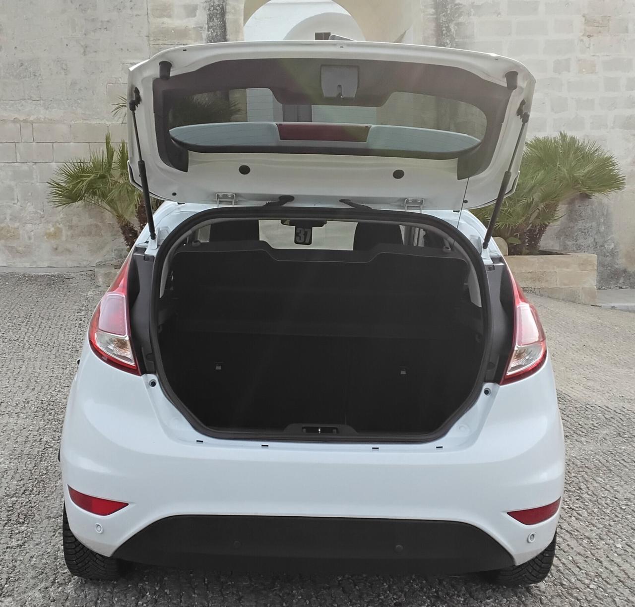Ford Fiesta 1.5 TDCi 75CV 5 porte Titanium