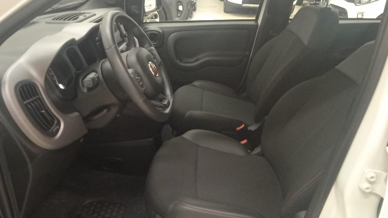 FIAT Panda III 2021 - Panda 1.0 firefly hybrid Sport s&s 70cv