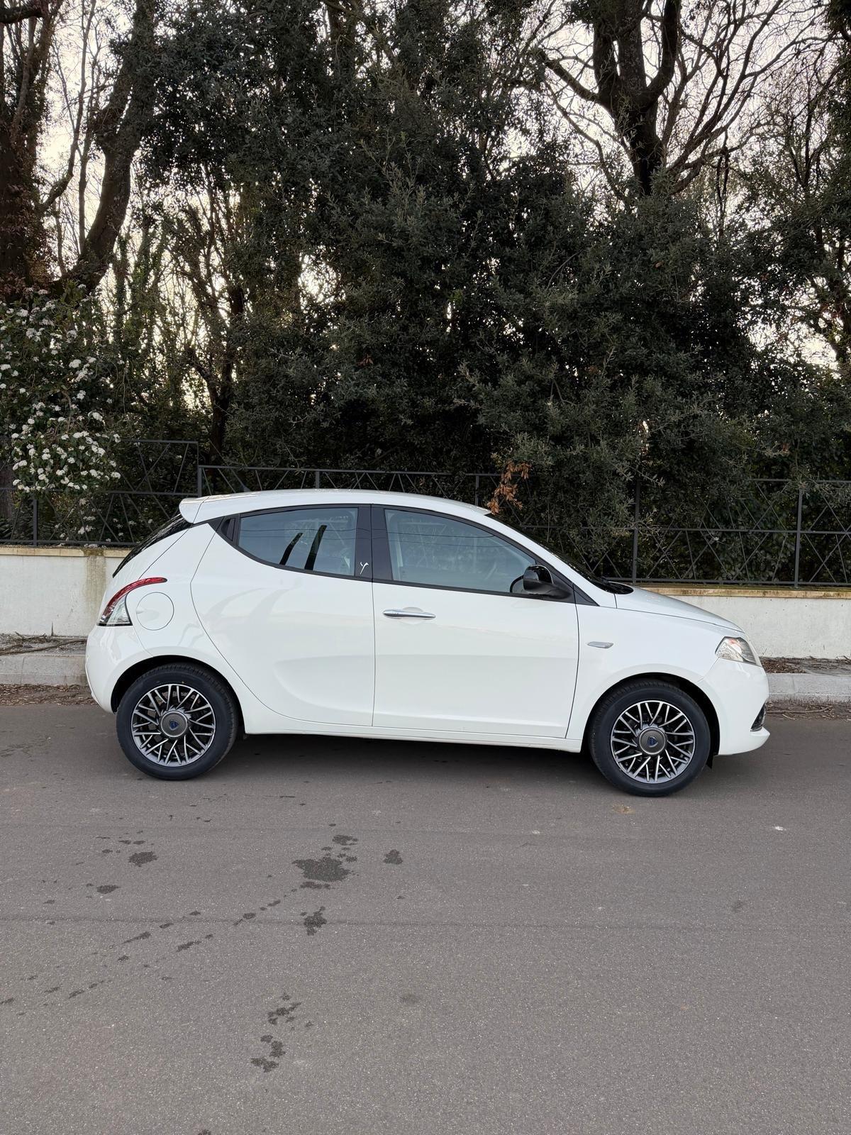 Lancia Ypsilon 1.2 69 CV 5 porte Gold