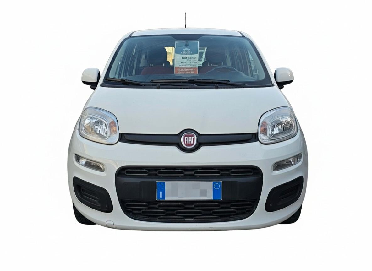 FIAT PANDA N1 1.2 69cv S&S EASY 4 POSTI