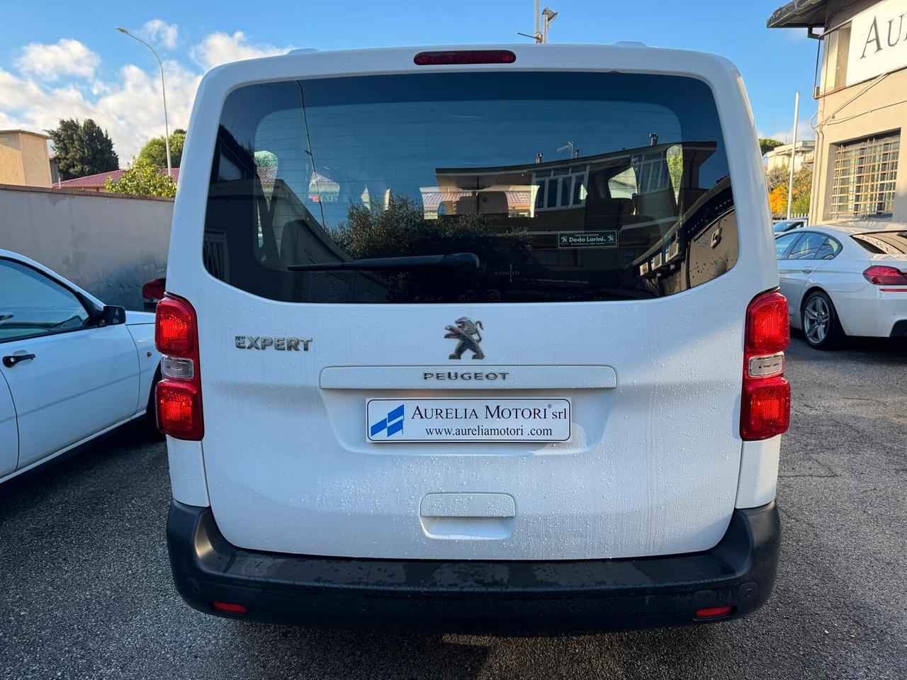 Peugeot Expert BlueHDi 120 S&S PL-TN Combi Standard PERFETTO FATTURABILE