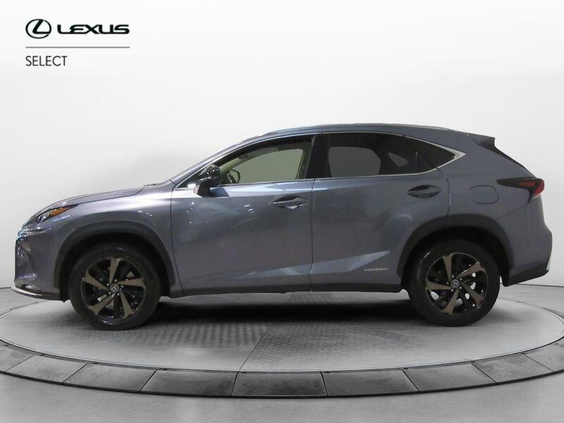 Lexus NX Hybrid 4WD Premium