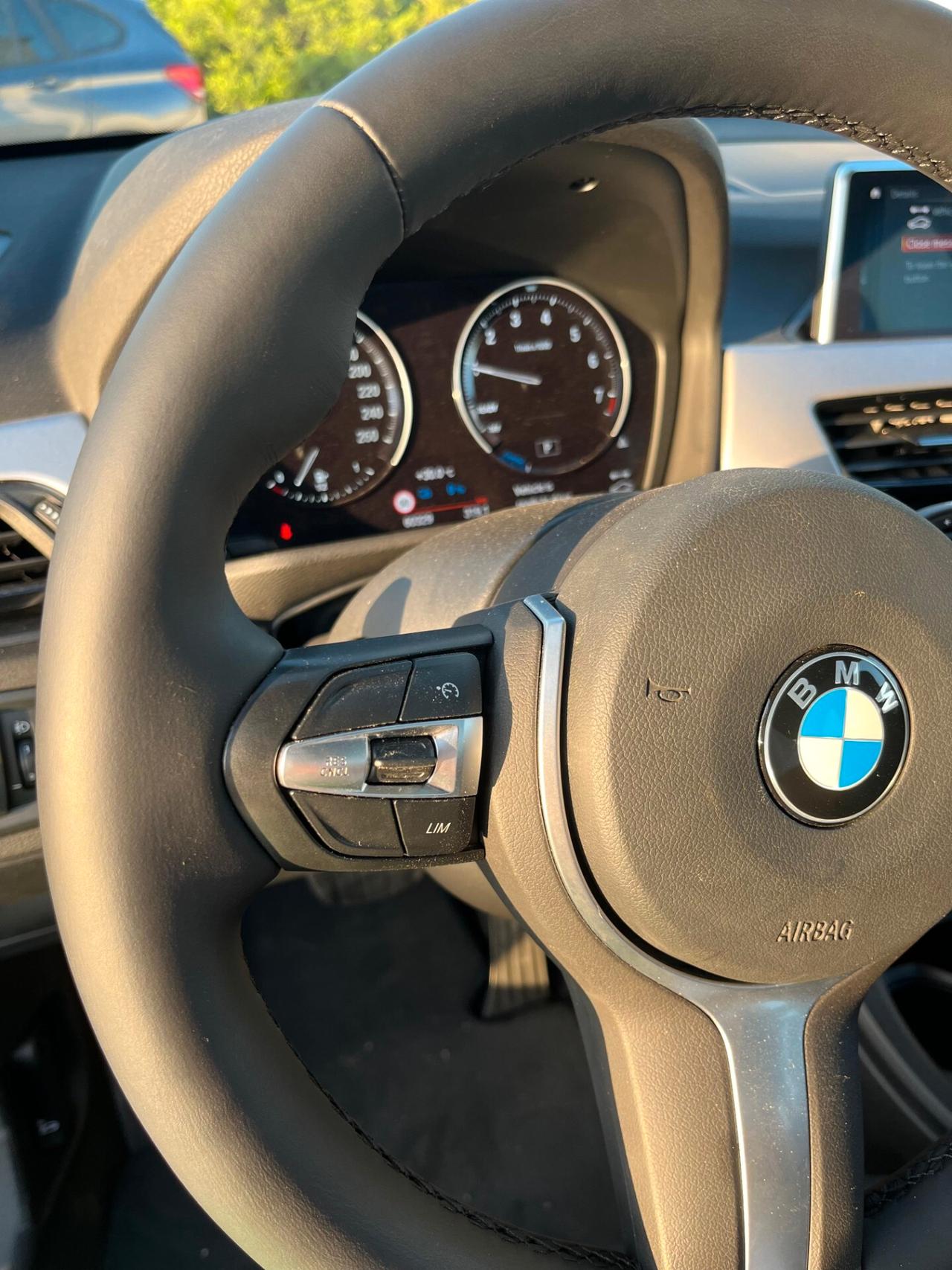 Bmw X1 xDrive25e Msport