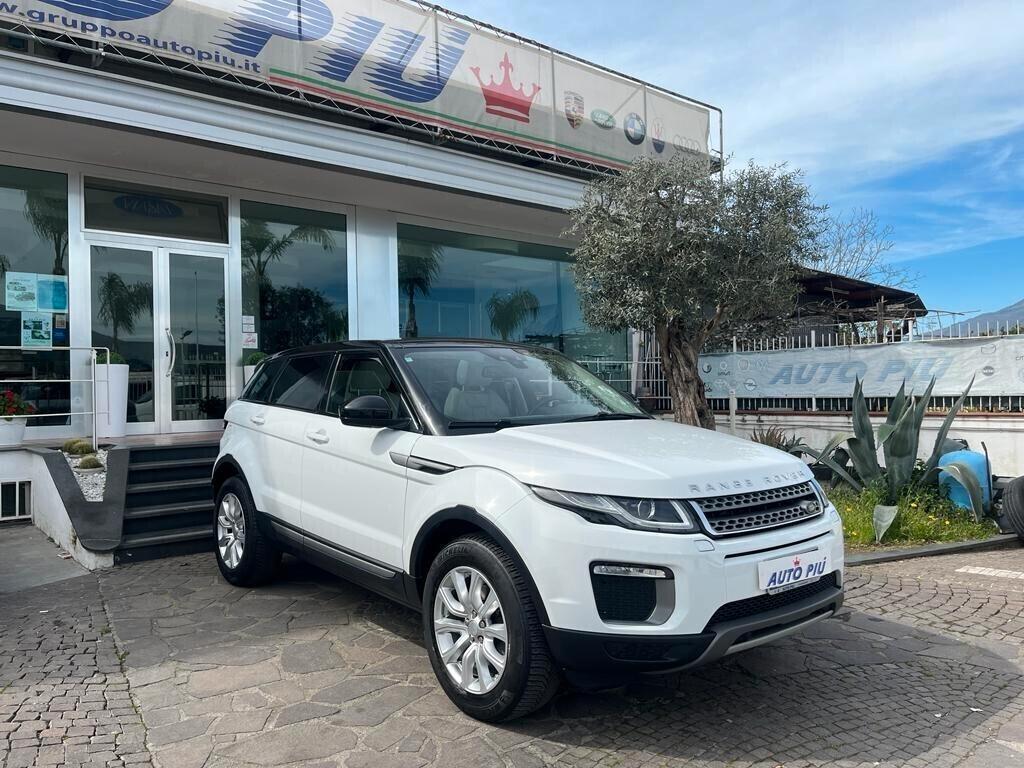 Land Rover Range Rover Evoque Range Rover Evoque 2.0 TD4 150 CV 5p. Business Edition SE