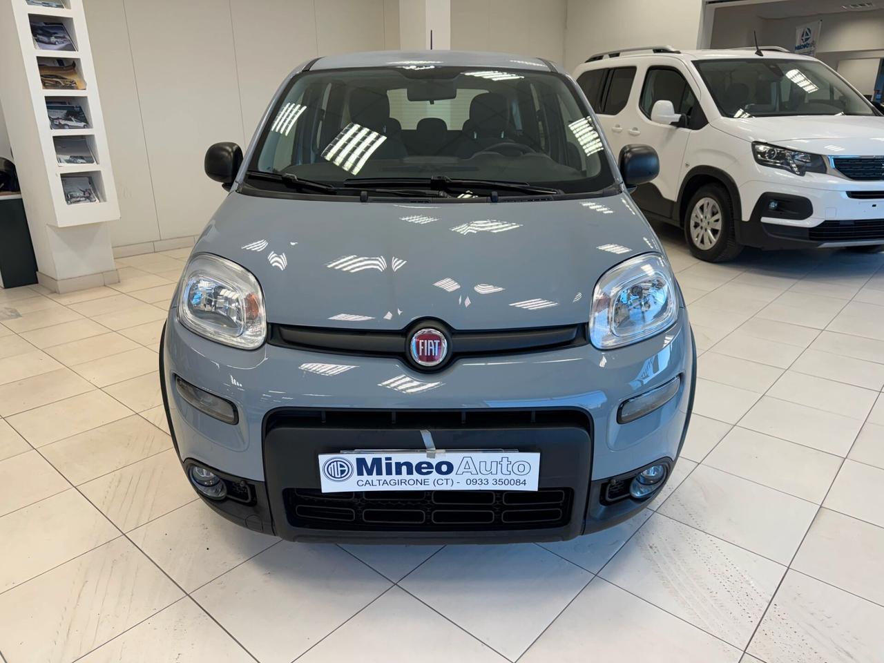 Fiat Panda 1.0 FireFly S&S Hybrid