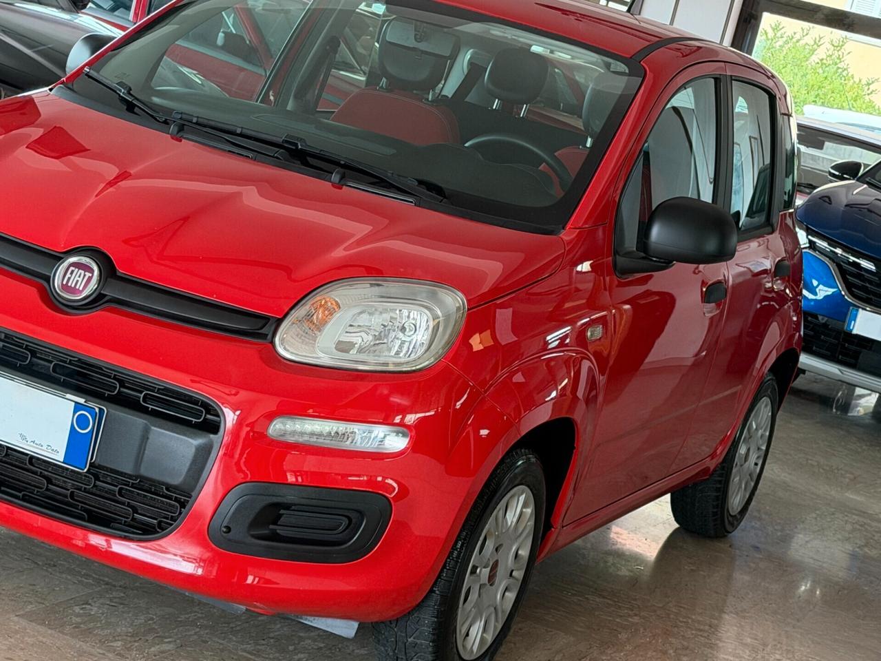 Fiat Panda New 1.2 69 cv. EASY
