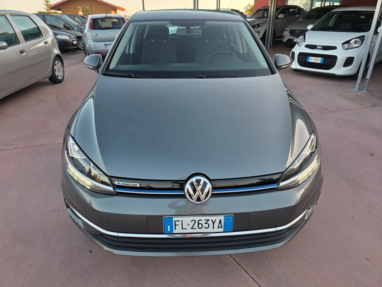 Volkswagen Golf 1.4 TGI 5p. Highline BlueMotion