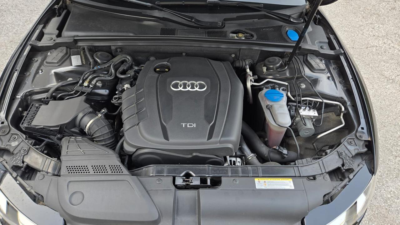 Audi A5 SPB 2.0 TDI 177 CV Quattro Business Plus 4x4