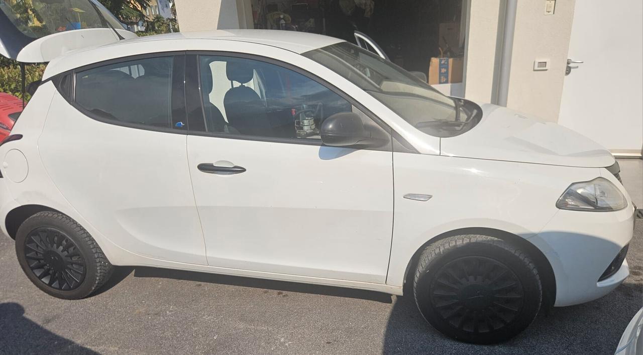 Lancia Ypsilon 1.2 69 CV 5 porte GPL Ecochic Gold