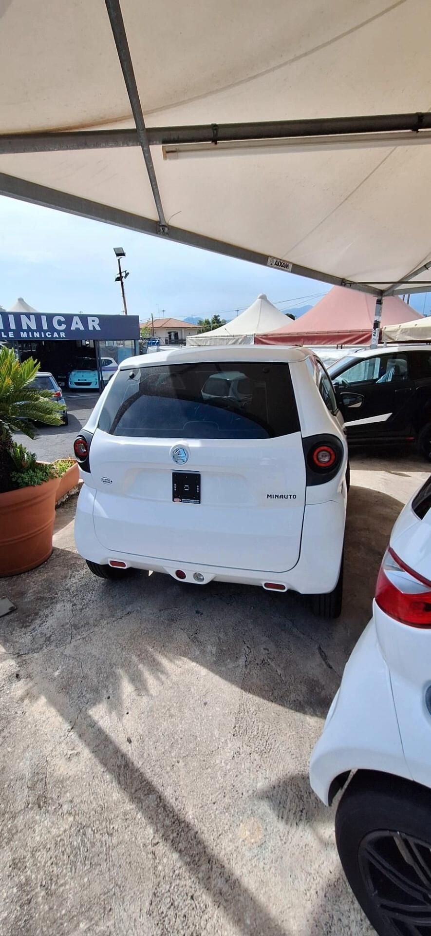 Aixam Miniauto Minauto Access